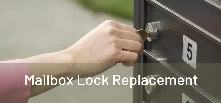  Mailbox Lock Replacement 